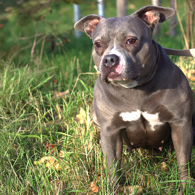 Das kleine Kraftpaket Olivia ist im Gelände.