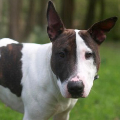 1.	Ein sanfter Blick – Bernadette in einer stillen Minute.