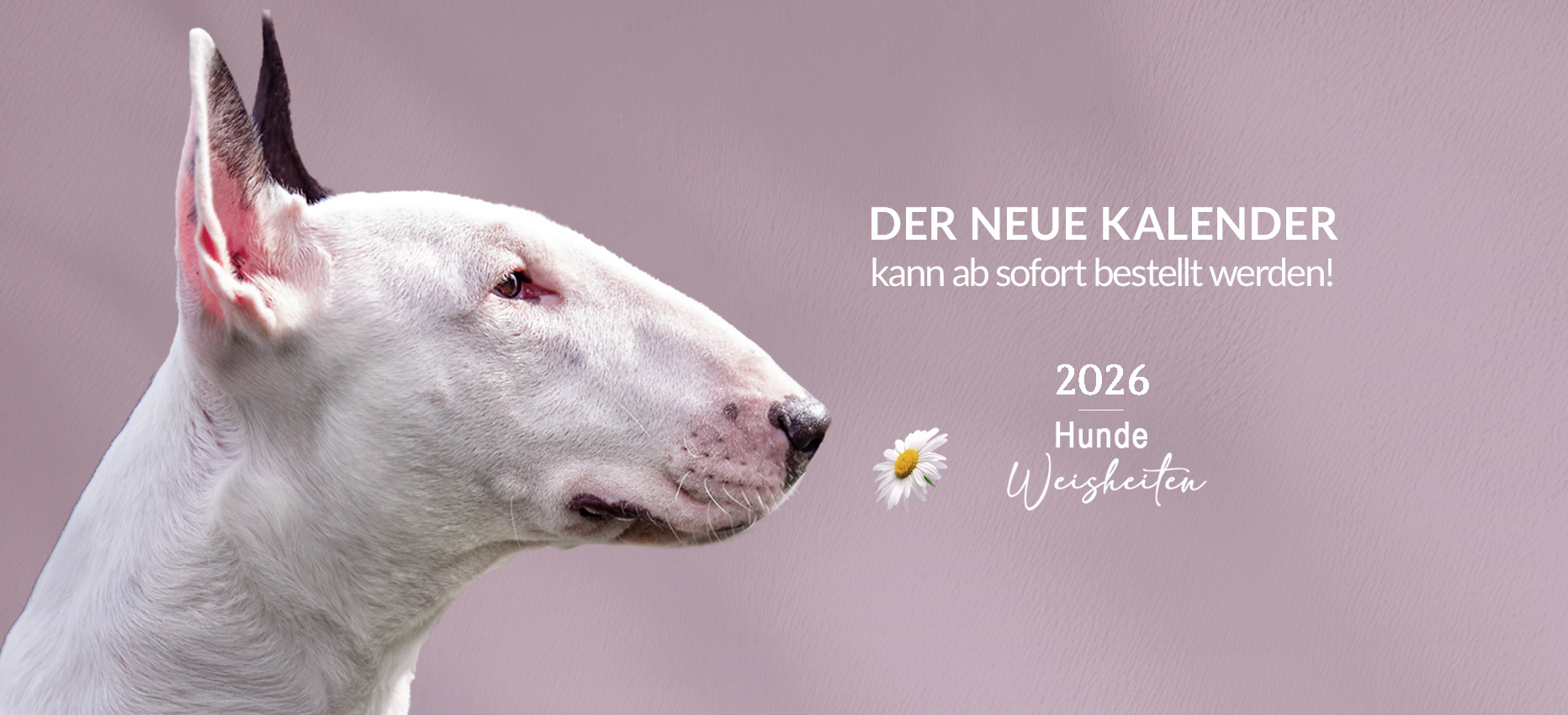Header_Kalender-2026_LP_1864x850px Der neue Kalender ist da!