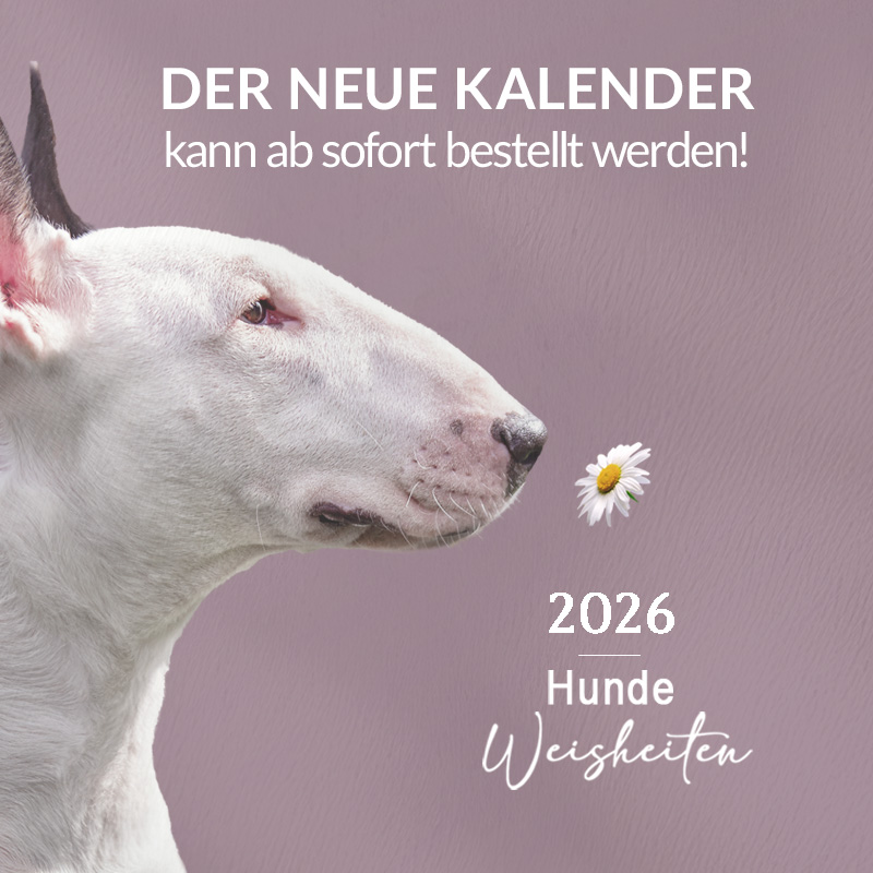 Header_Kalender_2026_LP-mobile_800x800px Der neue Kalender ist da!