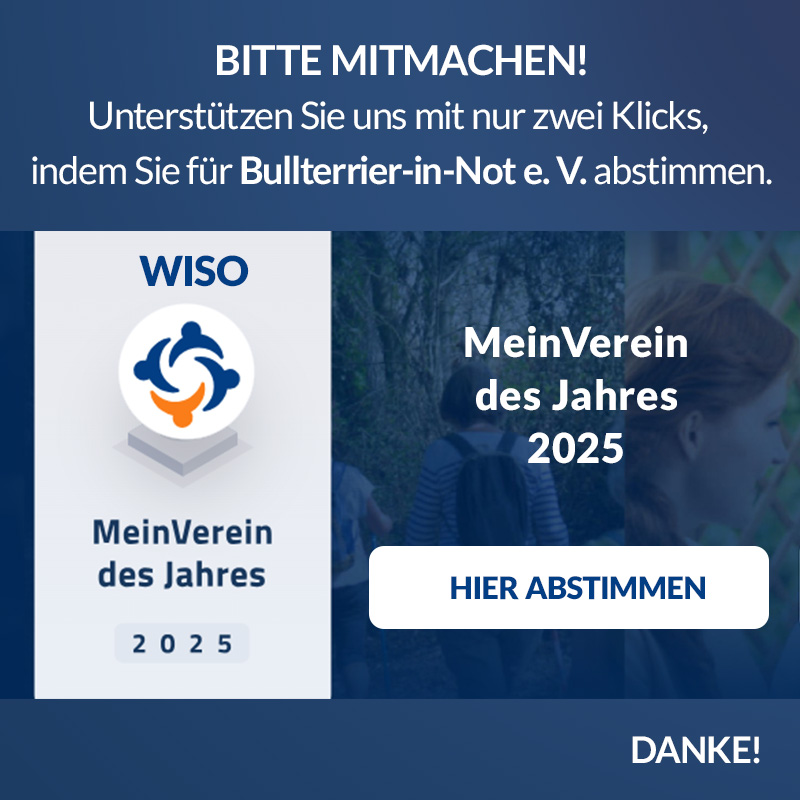 Jetzt mitmachen und für Bullterrier-in-Not abstimmen!