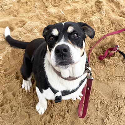 Erwin schaut steil nach oben in die Kamera, die über ihm positioniert ist.
