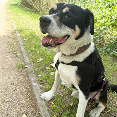 Erwin sitzt seitlich am Wegrand und blickt mit einem schelmischen Augenspiel in die Kamera.