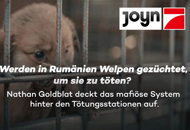 Tier-Mafia in Rumänien