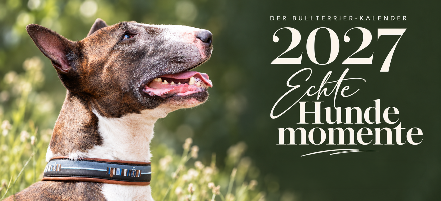 Jetzt Kalender bestellen!