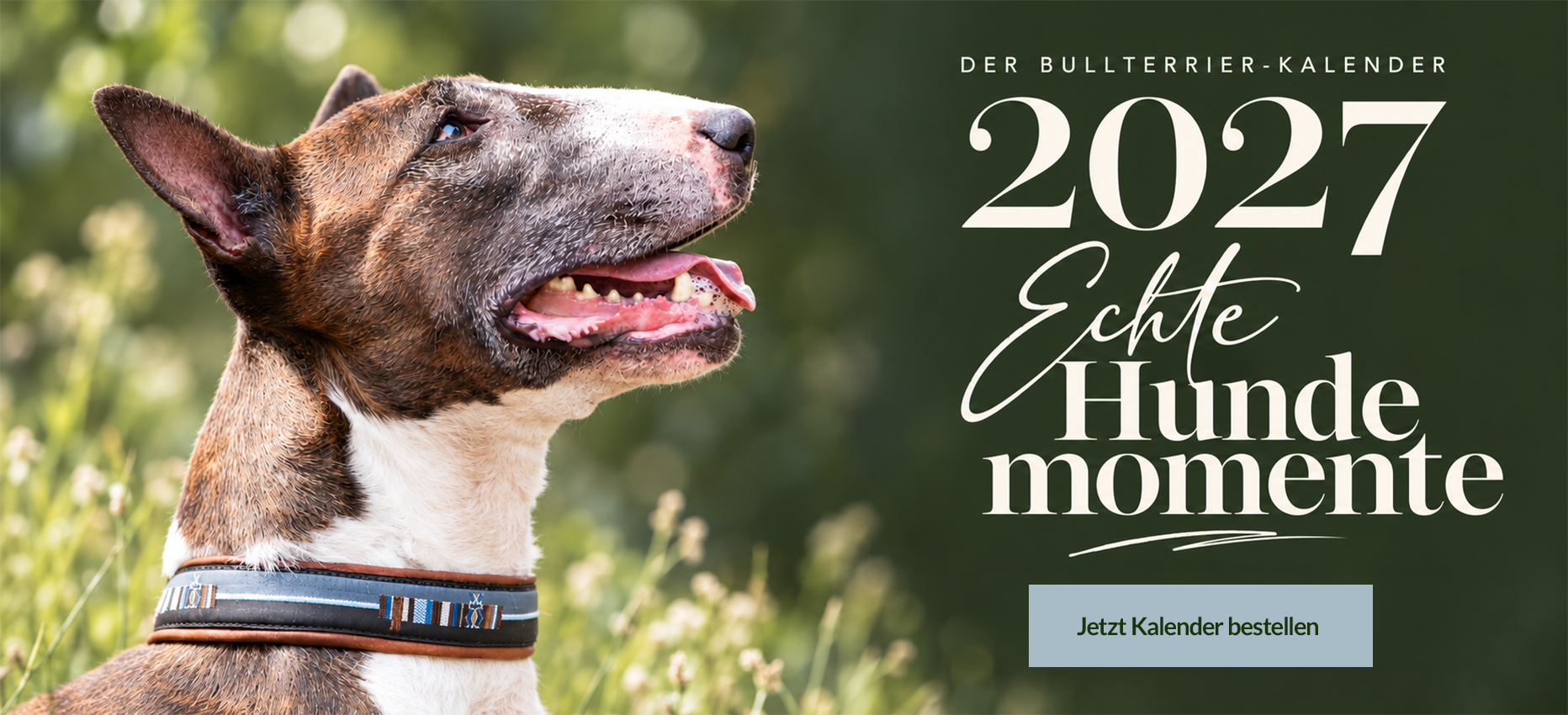 Bullterrier-Kalender 2027 „Echte Hundemomente“ mit weißer Spiralbindung und aufgeblätterter Ecke. Ab sofort ausschließlich über bullterrier-in-not.com/kalender-2027 bestellbar.